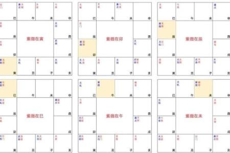 主星为命盘冠军!如何看待八字命盘的主星影响?