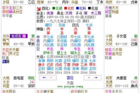 紫微斗数流年三台 紫微斗数流年在哪个宫？