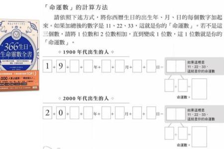 生命灵数4的女人配对什么
