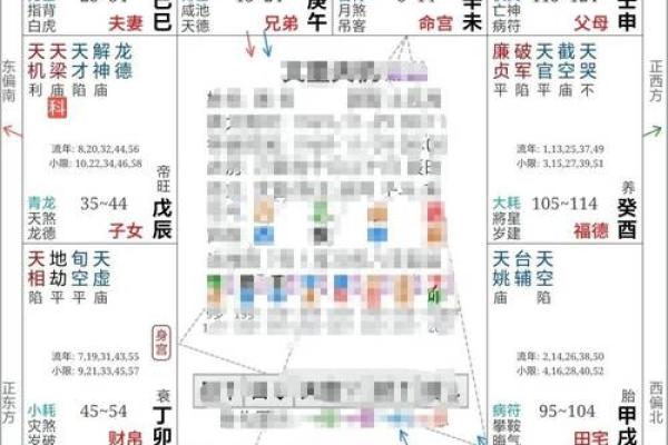 紫微斗数之预测灾厄: 自杀 紫微斗数之预测灾厄: 自杀