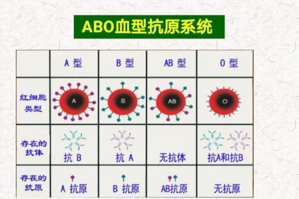 血型隐藏的病态绝症 血型隐藏的病态绝症