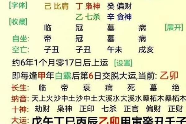 己亥生辰八字详解大全女命