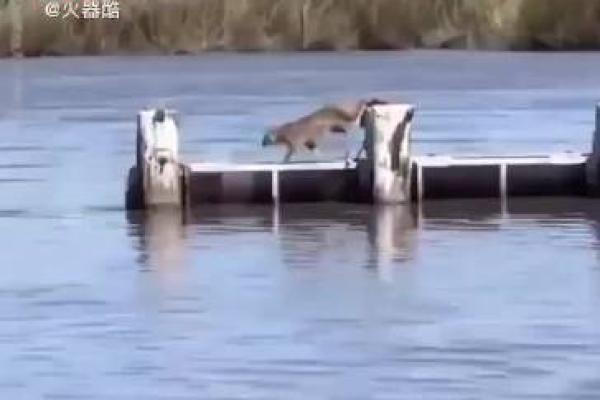 佛说五百年前非今天灵签