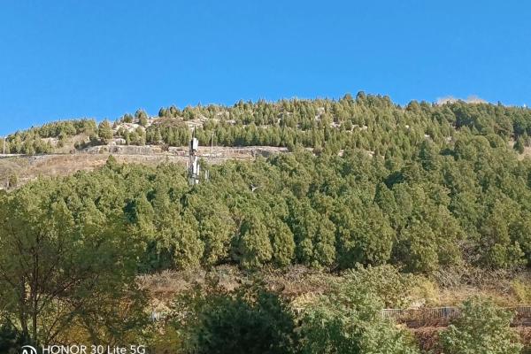 济南郎茂山附近有个算命的