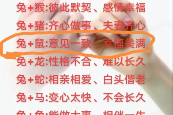 女牛男兔生肖配对姻缘 女牛男兔相配婚姻会怎么样？