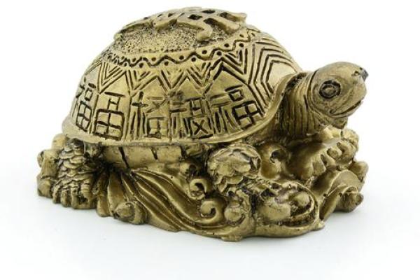 风水乌龟壳的功效与作用