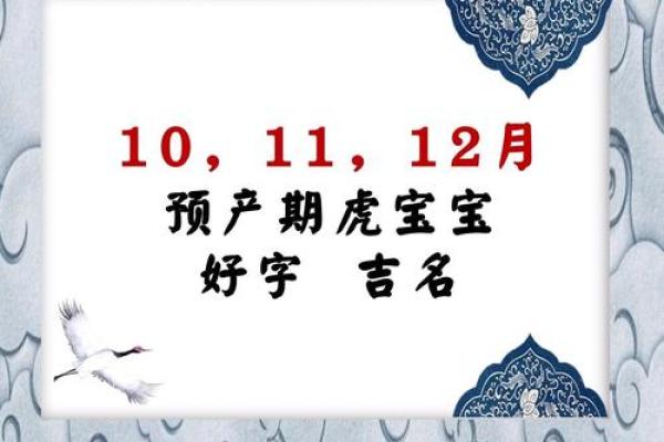 2025年廿四日辰时出生的虎宝宝八字取名推荐