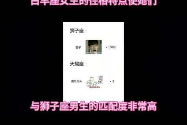 白羊男和射手女配对