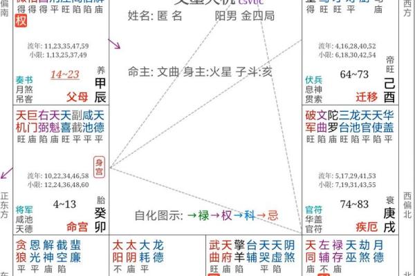 黄石紫微斗数 紫微斗数官网？