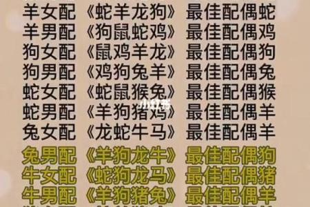 父母与子女属相配对