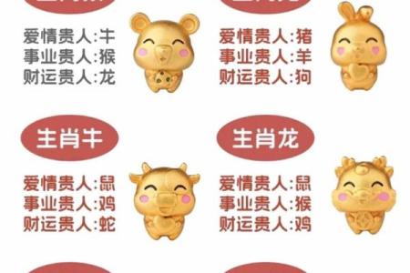 生辰八字能揭示你的生肖