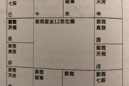 紫微斗数陀螺在戊寅 紫微陀螺星？