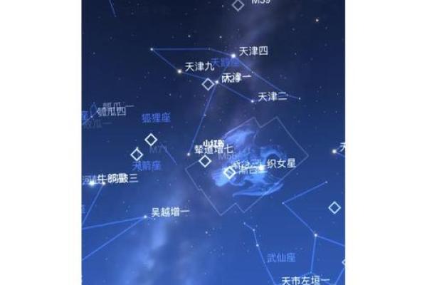 牛郎织女分别指哪两个星座女