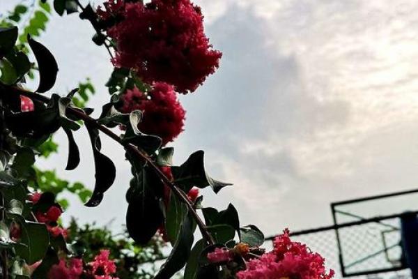 人人都适合有新年目标吗？那些紫薇主星设立目标反而会更糟？唐艺尹老师有趣的紫薇主星分析