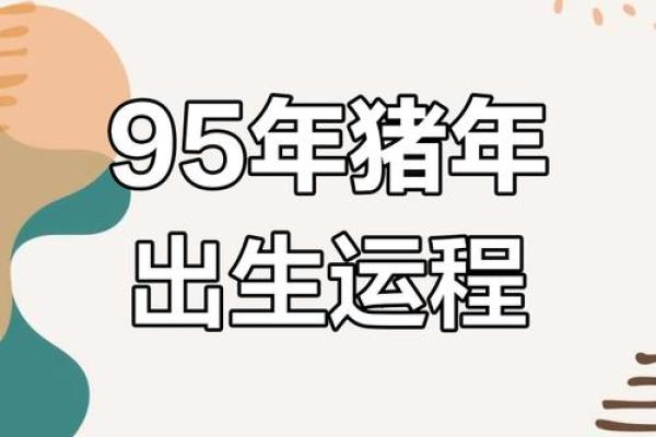 属猪出生最好六个吉日 属猪的出生吉日