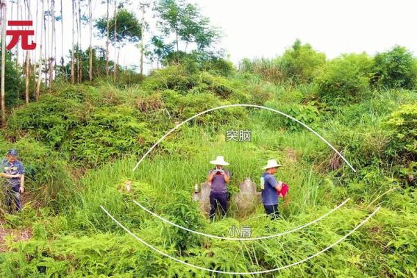 阴宅风水培训_缘分和命运可信不可信呢 阴宅风水培训_缘分和命运可信不可信呢
