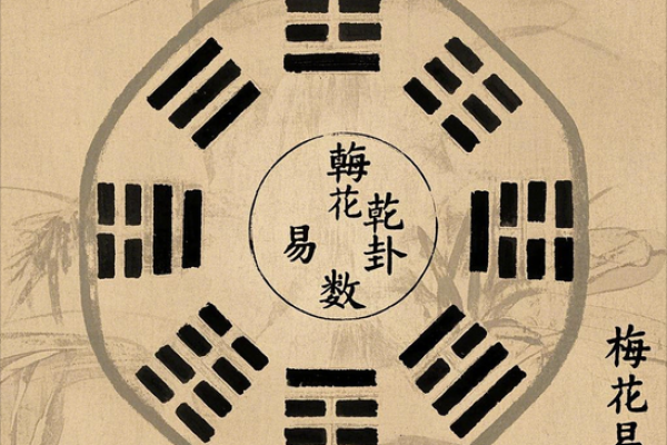 梅花易数的方位怎么定 梅花易数的方位怎么定