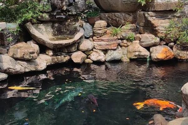 臭水塘房子风水讲究图片 臭水塘房子风水讲究图片