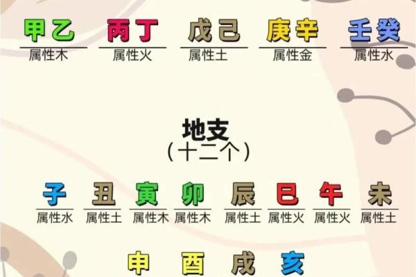 十二地支阴阳五行及方位 十二地支阴阳五行及方位