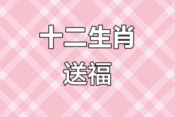 十二生肖：本命方位干净整洁，好运连连