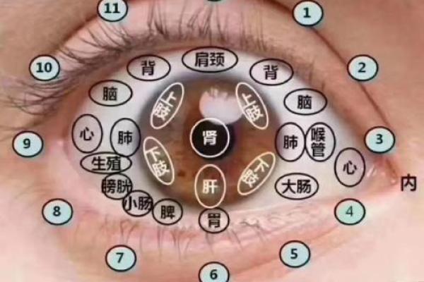 面相算命眼睛 面相算命眼睛