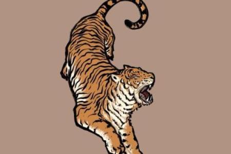 属虎方位吉凶图解大全