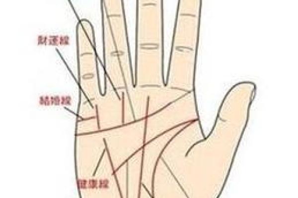 图解:手相中的智慧线算命 图解:手相中的智慧线算命