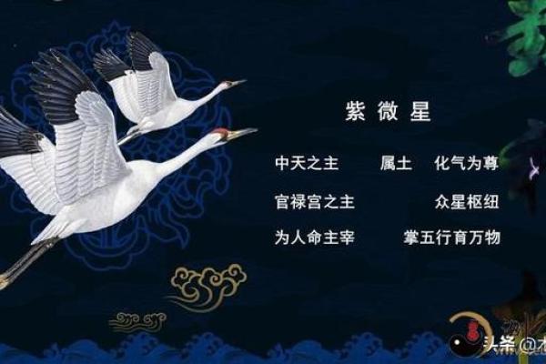 紫薇斗数中的晦气 紫薇斗数中的晦气