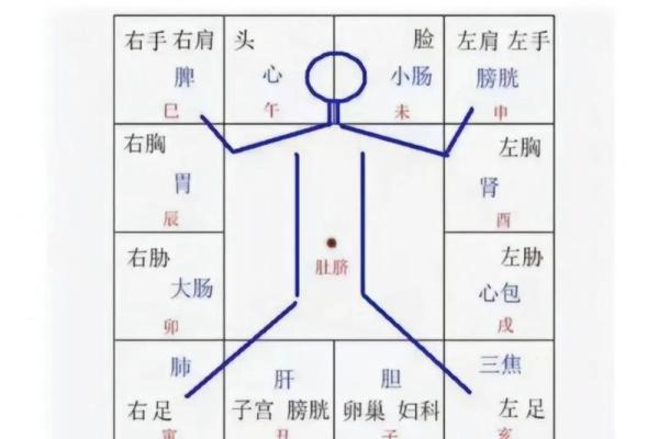 紫薇斗数看学业考试