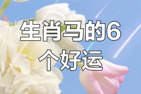属马出生最好六个吉日 属马的出生吉日