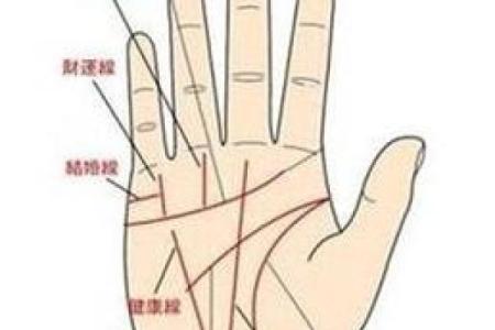 图解：手相中的智慧线算命
