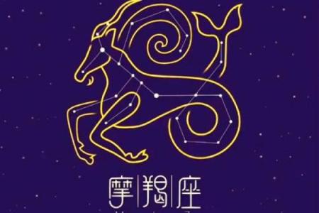 猎鹰上升星座摩羯运势2024