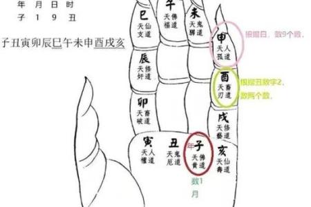 生肖吉凶方位