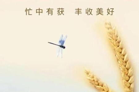 2024年芒种的财神方位在哪？芒种节气的三个物候现象