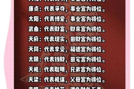 紫微斗数术语解释之：星曜的简称