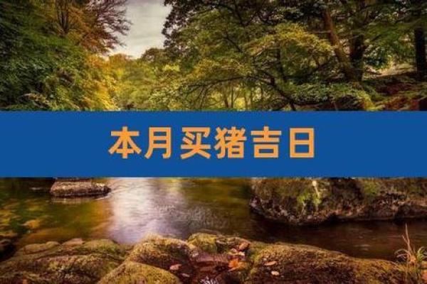 属猪的男孩出生吉日吉时是什么 属猪男孩出生的最佳时辰