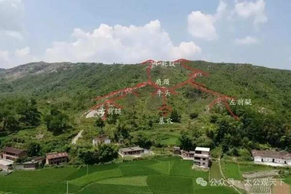 风水寻龙_寻龙传说中的龙叫什么名字 风水寻龙_寻龙传说中的龙叫什么名字