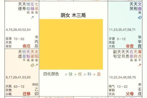 紫微斗数诸星落命宫之：华盖星详解