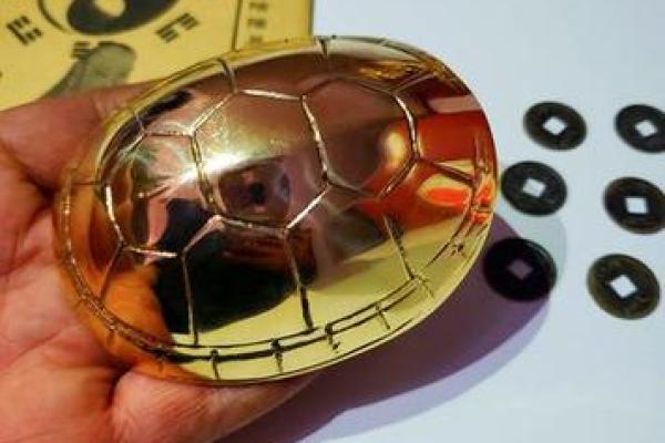 什么龟壳算命比较好 什么龟壳算命比较好