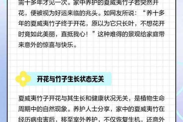 风水竹子开花意味着有灾祸发生吗 风水竹子开花意味着有灾祸发生吗