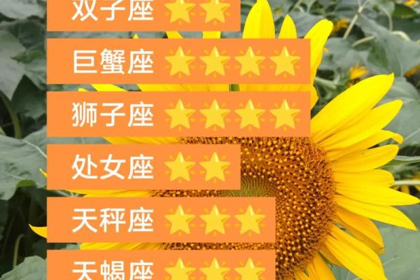 未来十天运势最旺的星座 未来十天运势最旺的星座