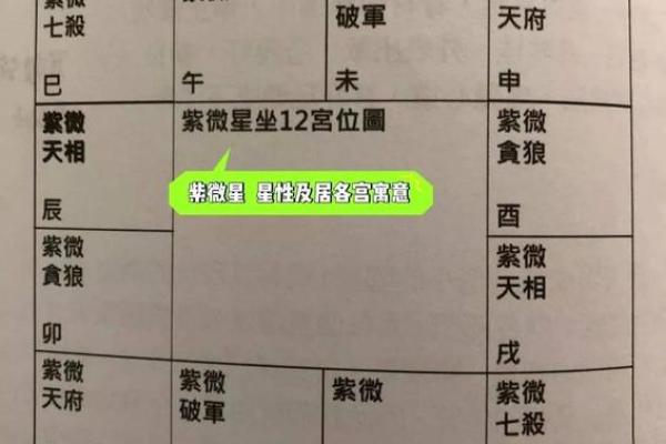 紫微斗数之父母宫与诸星，太阳星在父母宫是什么意思？