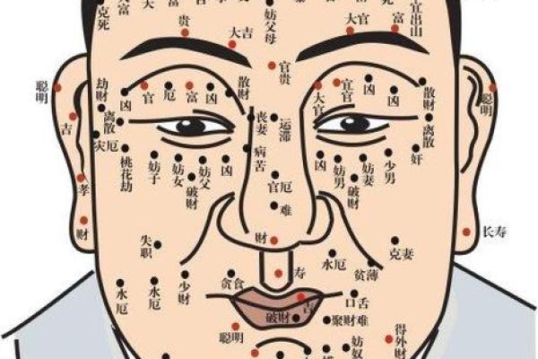 相面算命看见鼻孔好吗 相面算命看见鼻孔好吗