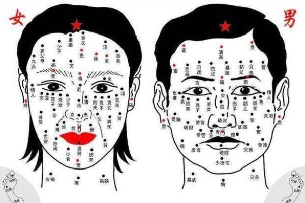 相面算命看见鼻孔好吗 相面算命看见鼻孔好吗