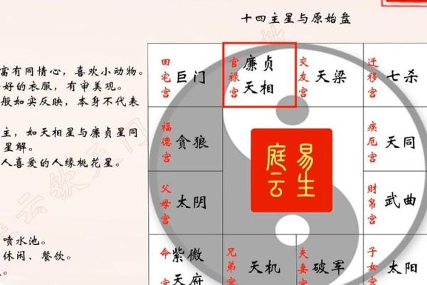 紫薇斗数星大全 紫薇斗数星大全