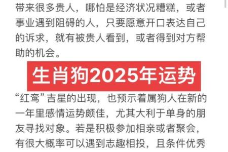 看日子选吉日 2024年十一月生肖狗结婚的良辰吉日查询