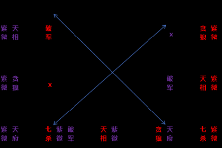 紫薇斗数寿命的星星