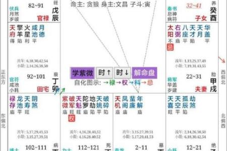 紫微斗数之夫妻宫在丑宫，是什么意思？