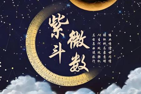 陈彦廷紫薇斗数书