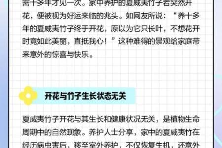 风水竹子开花意味着有灾祸发生吗